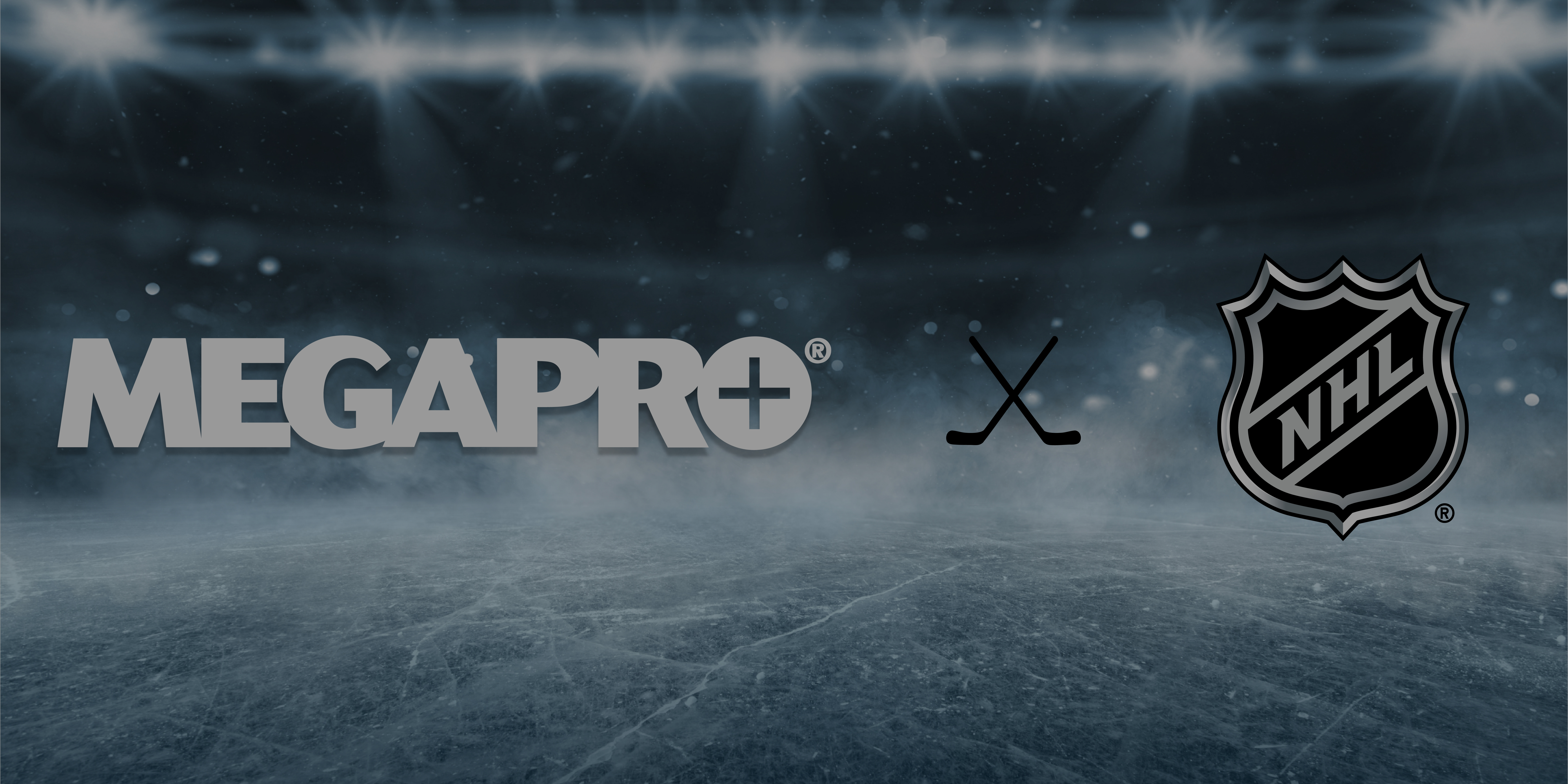 NHL-Version 3_Desktop_Banner